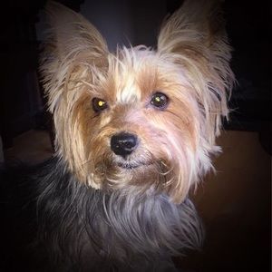 Meet your Posher, Ben